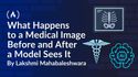 What Happens to a Medical Image Before and After a Model Sees It
