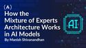 How the Mixture of Experts Architecture Works in AI Models