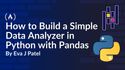 How to Build a Simple Data Analyzer in Python with Pandas