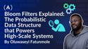 Bloom Filters Explained: The Probabilistic Data Structure Powering Instagram, Google, and High-Scale Systems