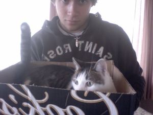 a cute cat photo that is cute